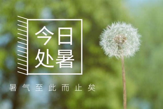 【衡陽通用電纜】處暑不是暑，秋涼知我意